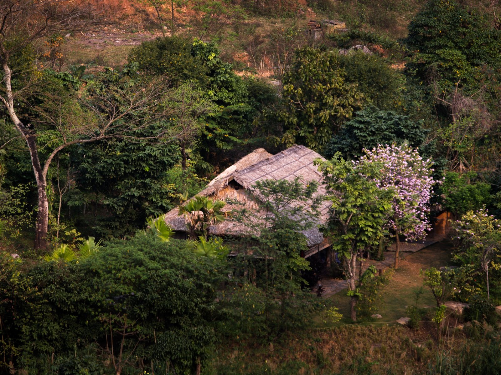 Avana Museum - A House On Wooden Piles